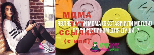 тгк Гусев
