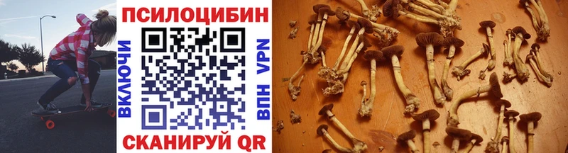 Галлюциногенные грибы MAGIC MUSHROOMS  Сясьстрой 